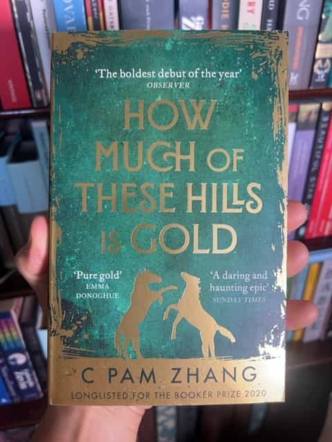 How Much of These Hills Is Gold by C Pam Zhang — front cover