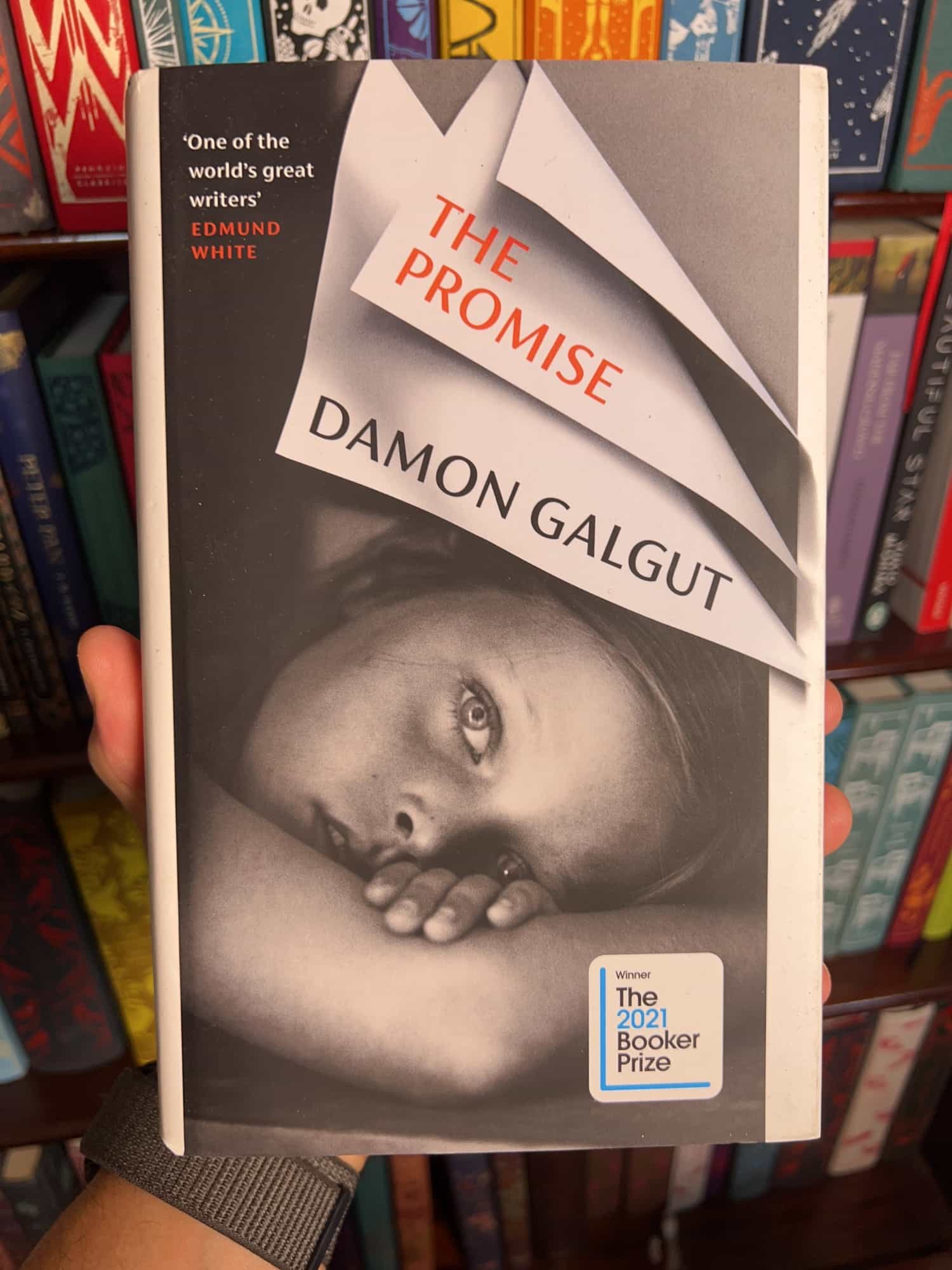 The Promise by Damon Galgut — front cover