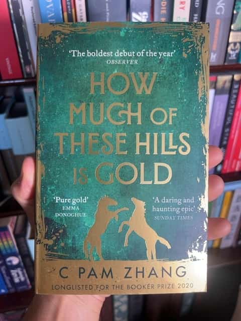 How Much of These Hills Is Gold by C Pam Zhang
