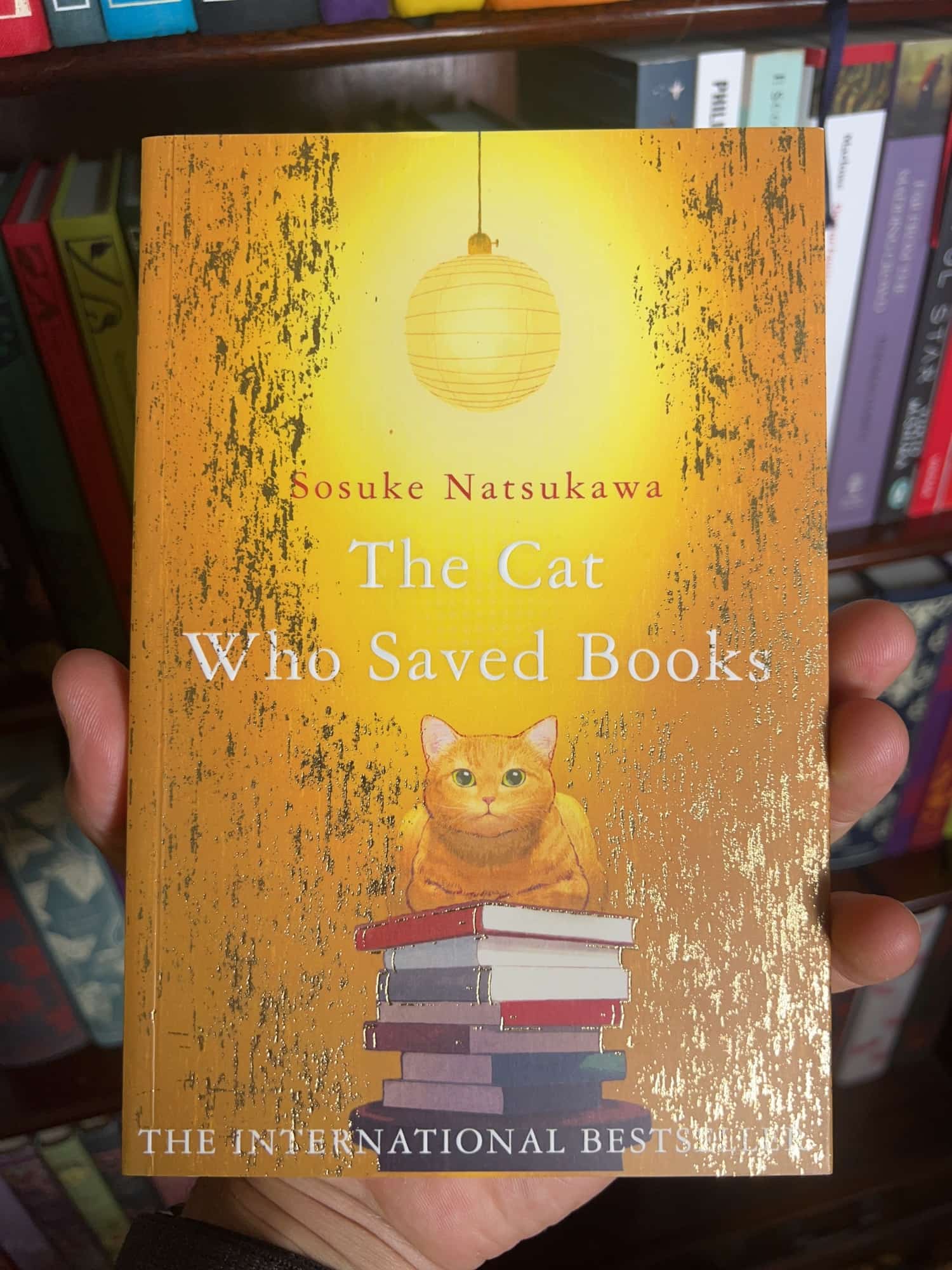 The Cat Who Saved Books by Sosuke Natsukawa