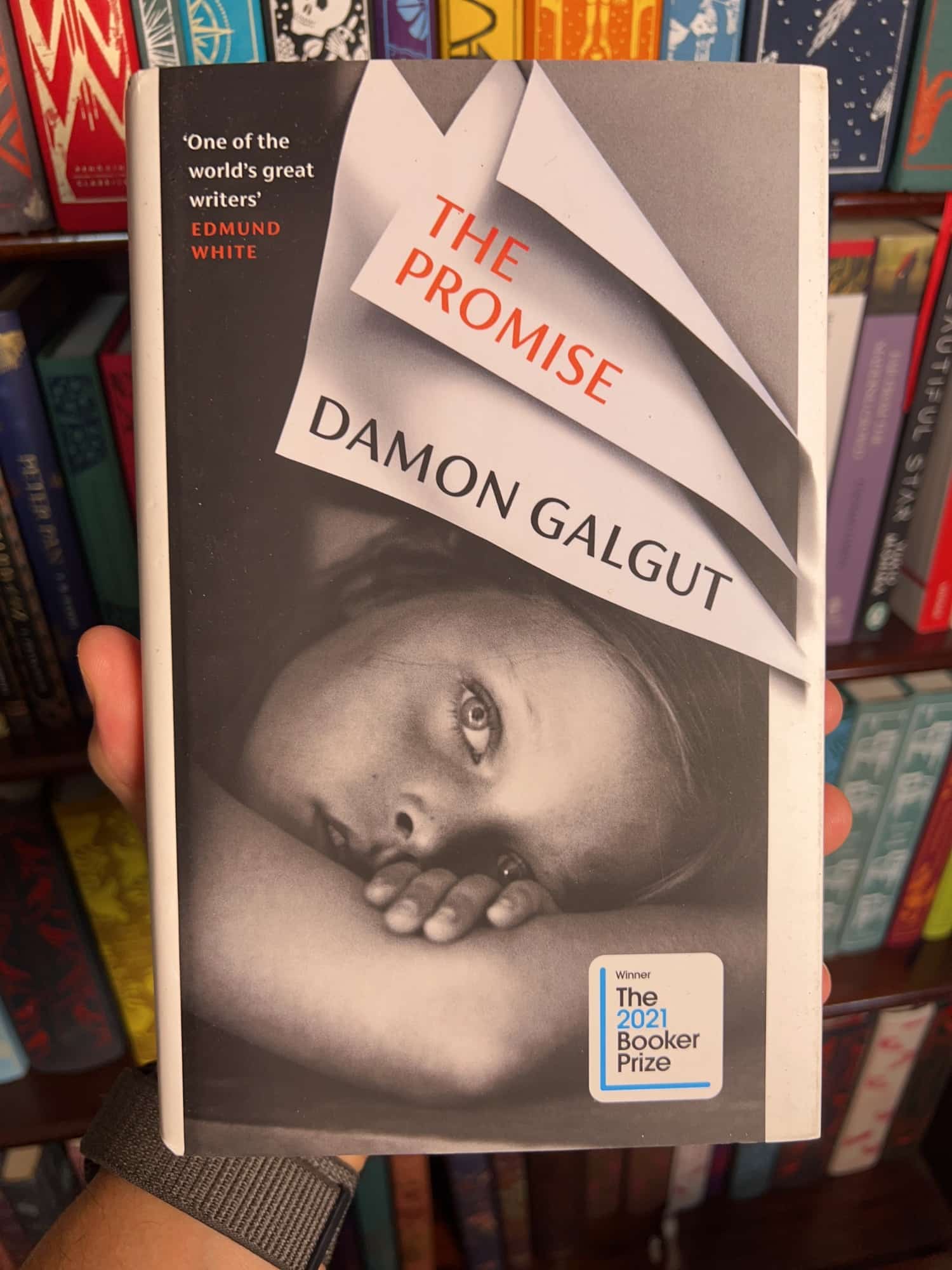 The Promise by Damon Galgut