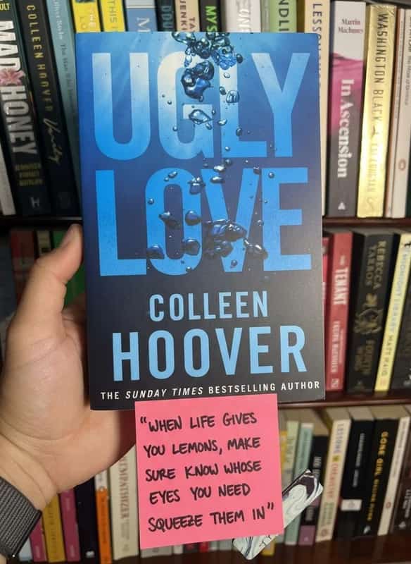 Ugly Love by Hoover Colleen